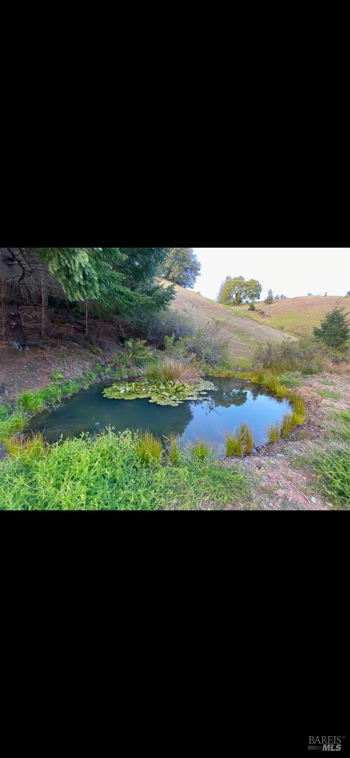 1701 Etter Ranch Road Garberville, CA 95542 - Photo 11 of 11 a view of outdoor space and mountain view