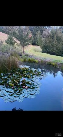 a view of lake from next to house