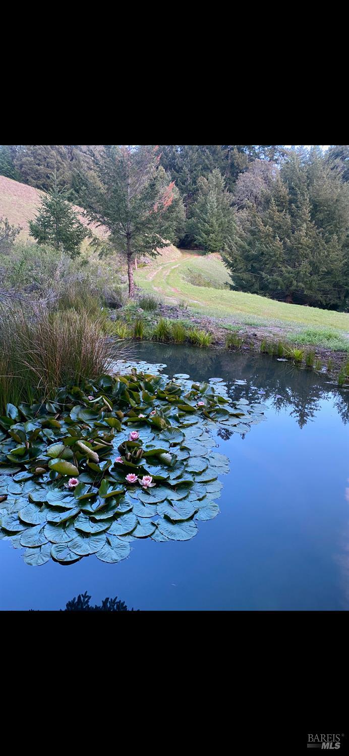 1701 Etter Ranch Road Garberville, CA 95542 - Photo 2 of 11 a view of lake from next to house