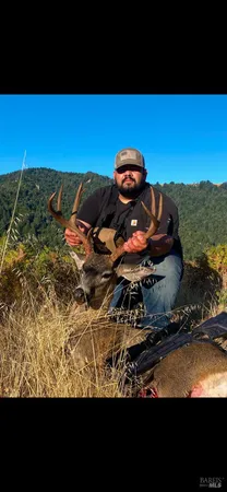 a view of outdoor space and yard