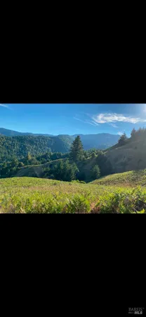 a view of an ocean from a yard