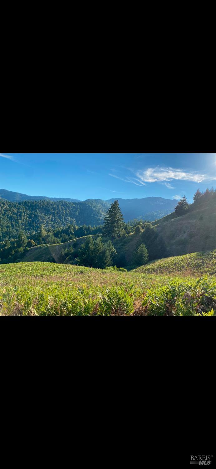 1701 Etter Ranch Road Garberville, CA 95542 - Photo 5 of 11 a view of an ocean from a yard