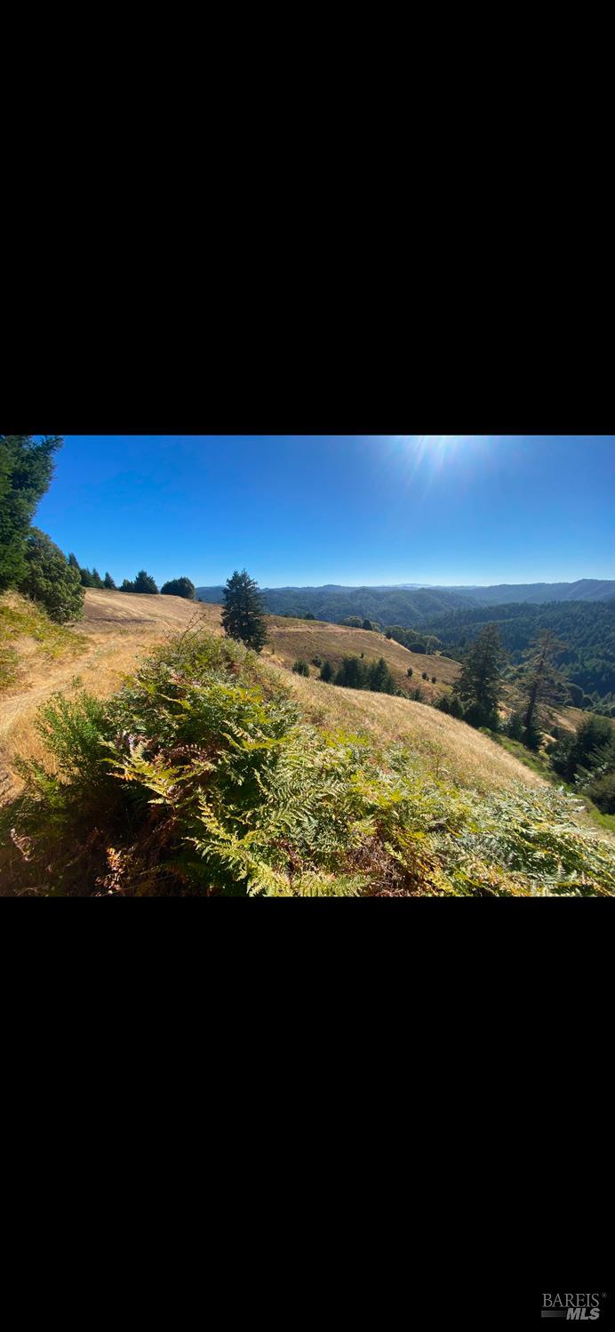 1701 Etter Ranch Road Garberville, CA 95542 - Photo 6 of 11 a view of an ocean