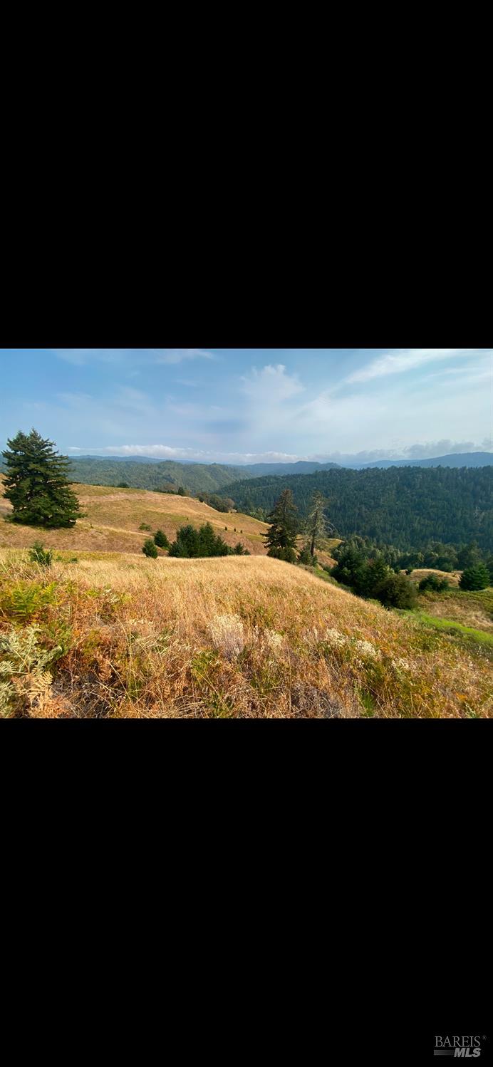1701 Etter Ranch Road Garberville, CA 95542 - Photo 9 of 11 a view of an ocean