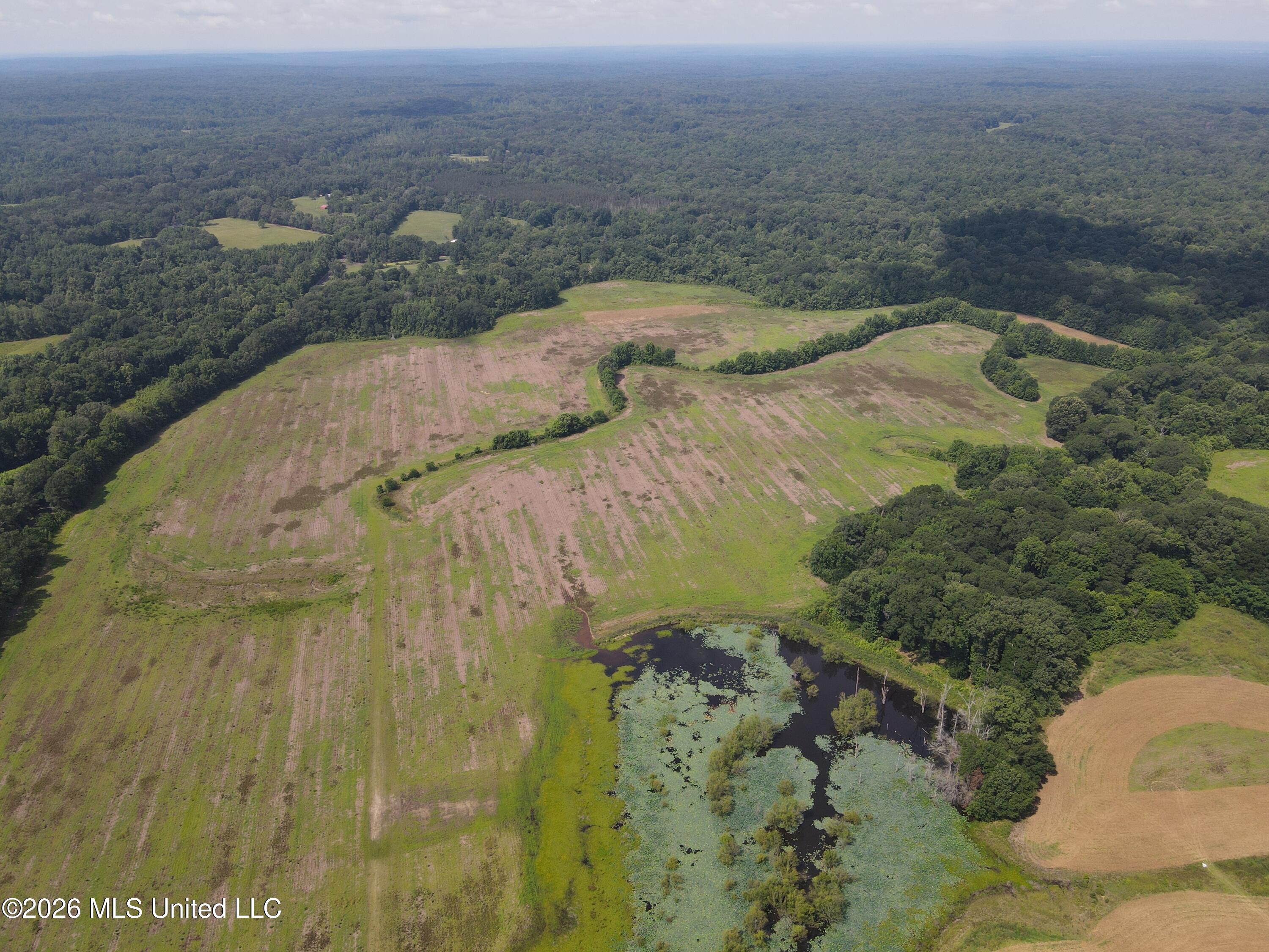 Old Port Edwards, MS 39066 - Photo 61 of 65 XSHT6616