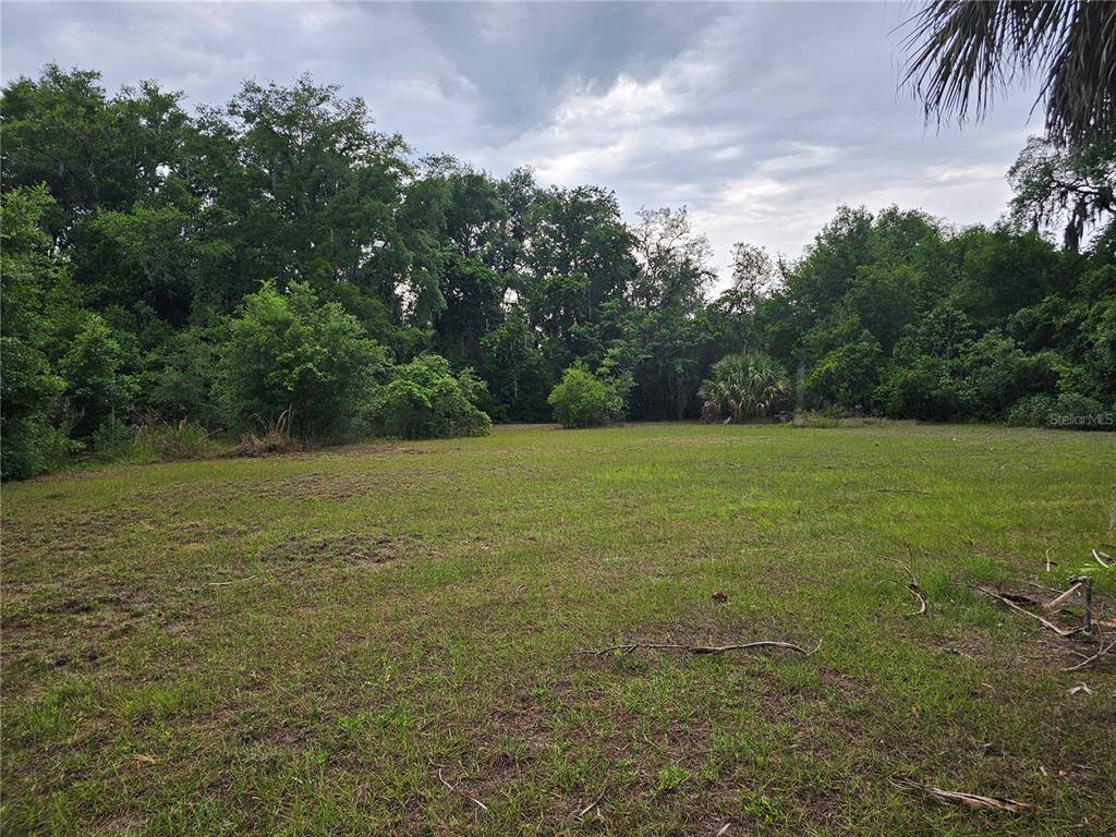 10679 Goose Prairie Road Leesburg, FL 34788 - Photo 8 of 21