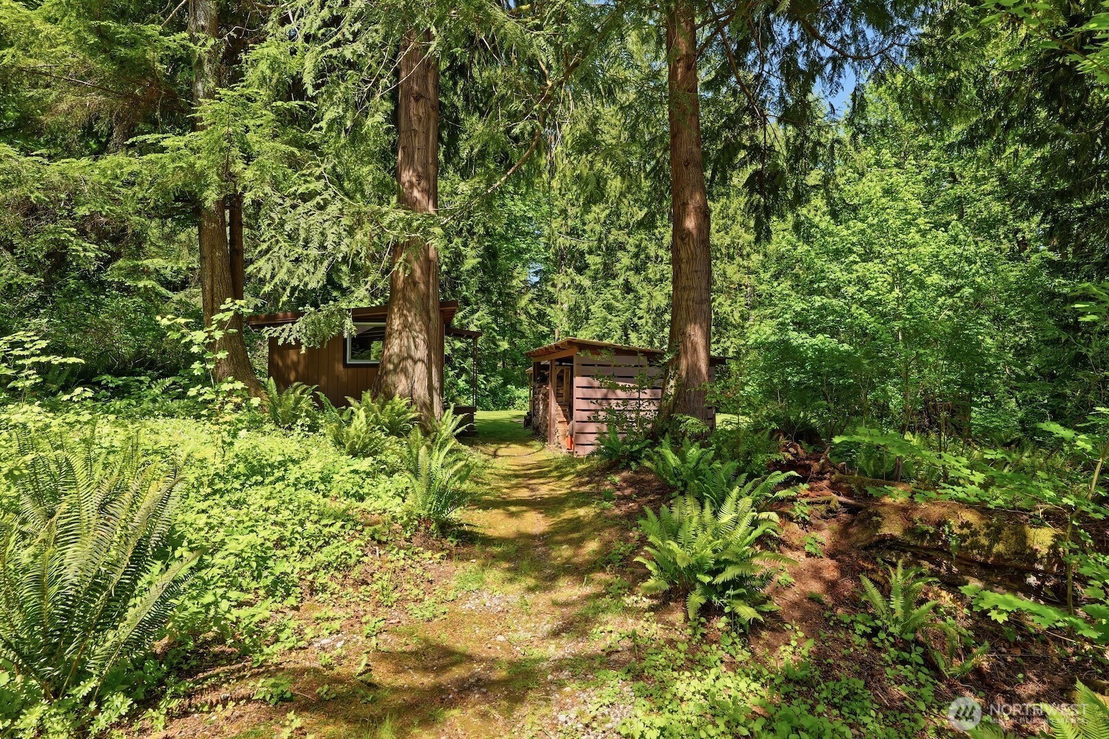 30130 Southeast Issaquah-Fall City Road Fall City, WA 98024 - Photo 30 of 39 a plant view in yard