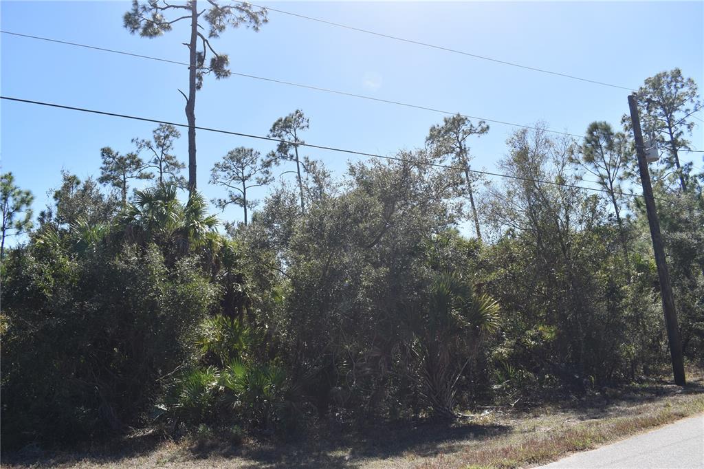 Eustace St Port North Port, FL 34288 - Photo 12 of 18 a view of a yard