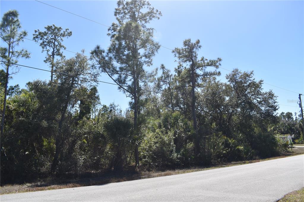Eustace St Port North Port, FL 34288 - Photo 13 of 18 a view of a yard