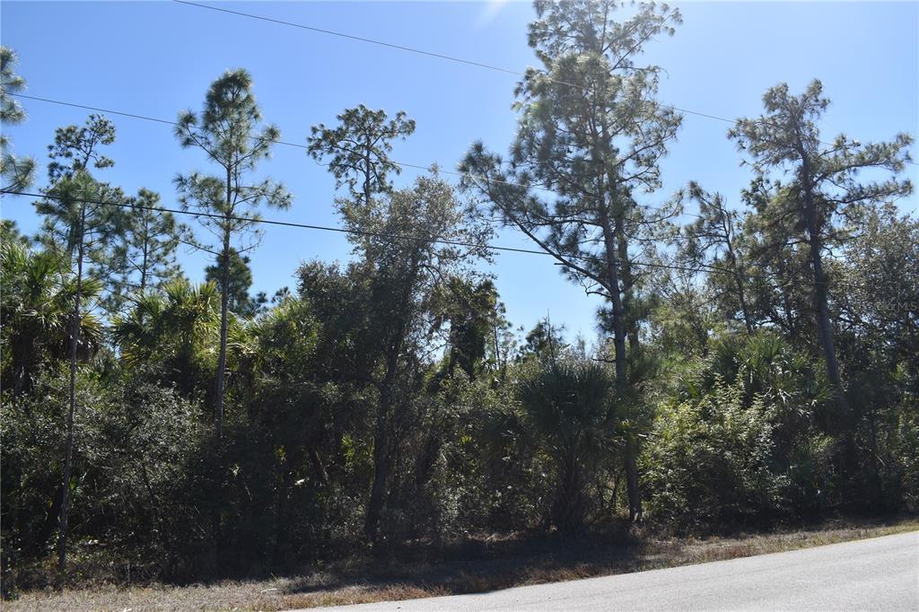 Eustace St Port North Port, FL 34288 - Photo 5 of 18 a view of a tree in a yard