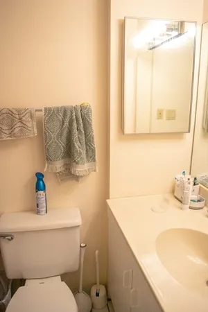 a bathroom with a sink and a toilet