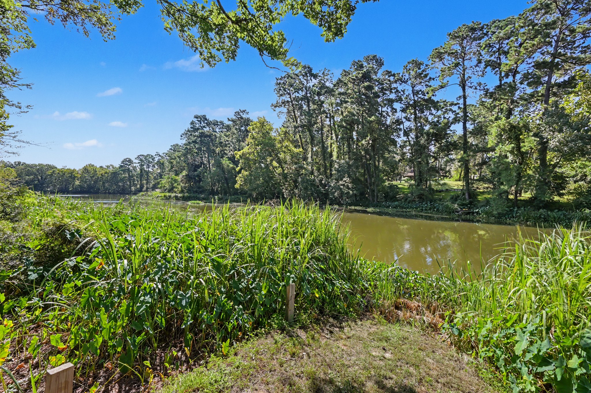 13501 Fultz Road Conroe, TX 77304 - Photo 26 of 30 These views are unmatched.