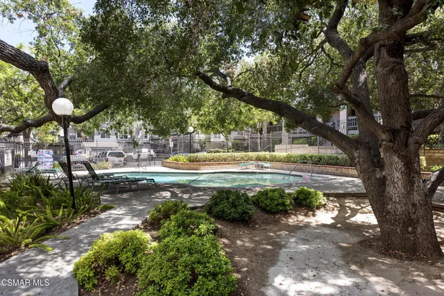a view of a yard with plants and large trees