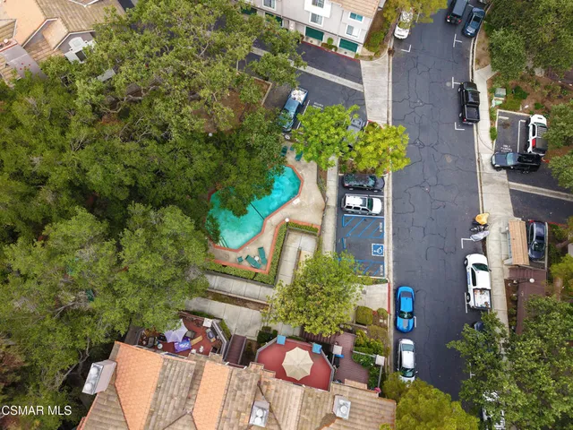 an outdoor space with lots of plants and trees
