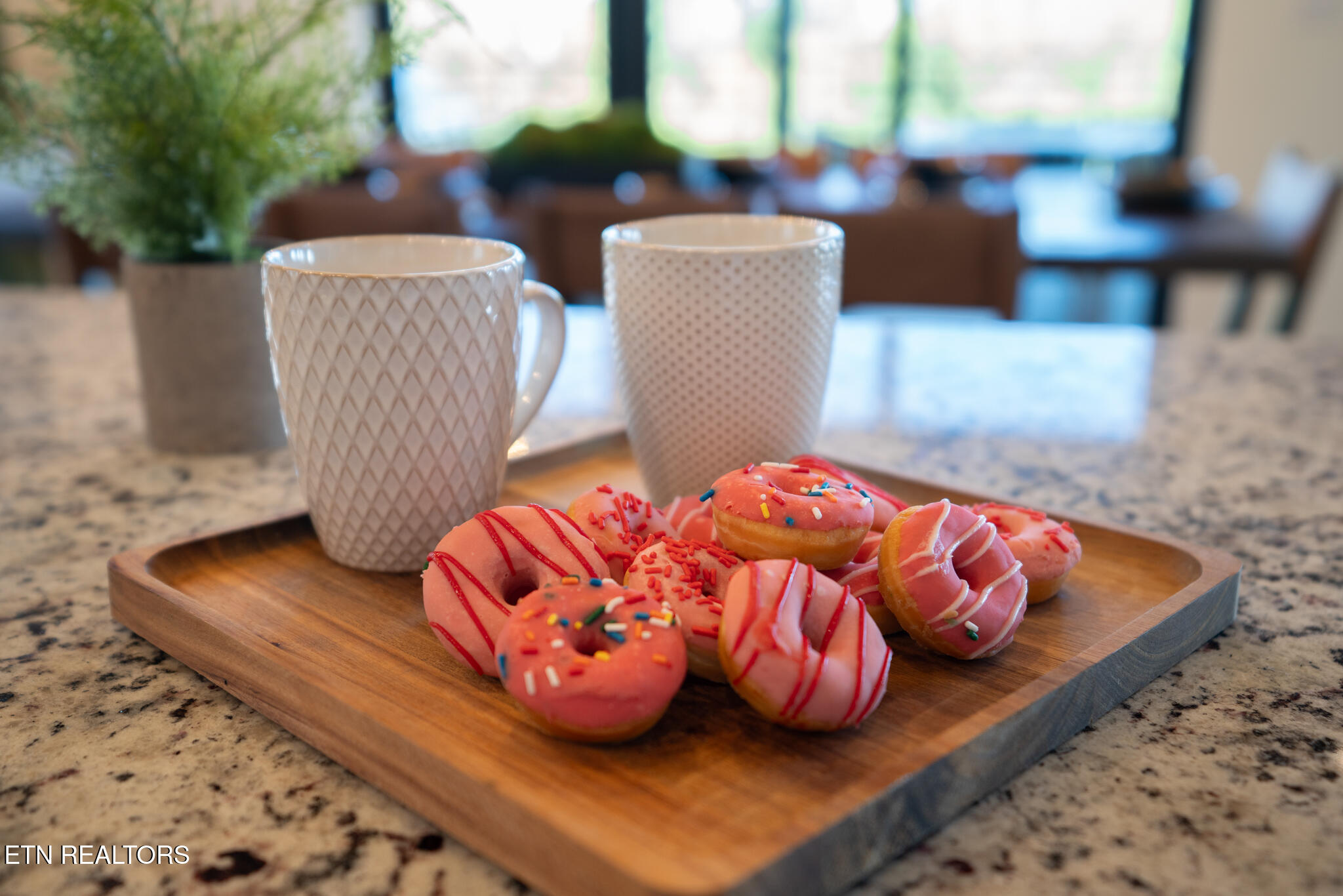 519 New Venture Way Sevierville, TN 37876 - Photo 18 of 55 untitled-18