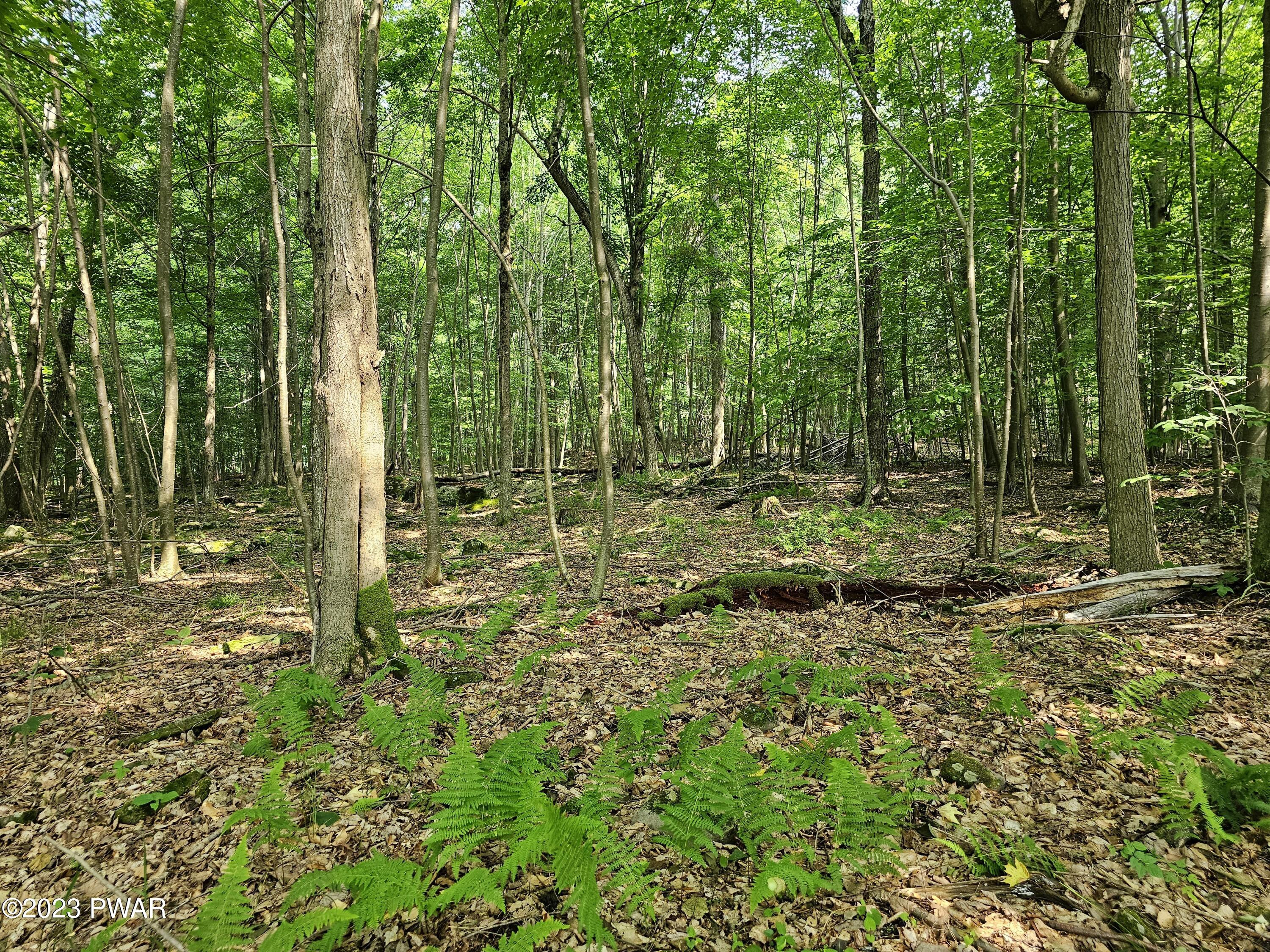 Lot 61 Rock Run Road Damascus, PA 18415 - Photo 19 of 56