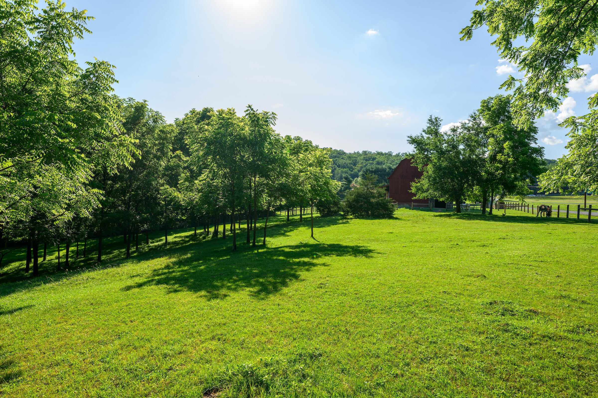 2704 Stone House Road Caldwell, WV 24925 - Photo 91 of 94 Gallery Image 91