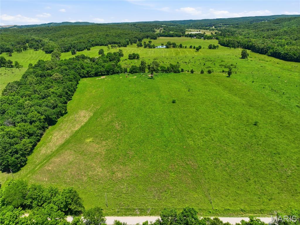 0 Pleasant Hill Road Mountain Grove, MO 65711 - Photo 6 of 51