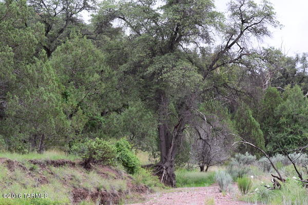 Umpire Ranch Road Elgin, AZ 85611 - Photo 11 of 27