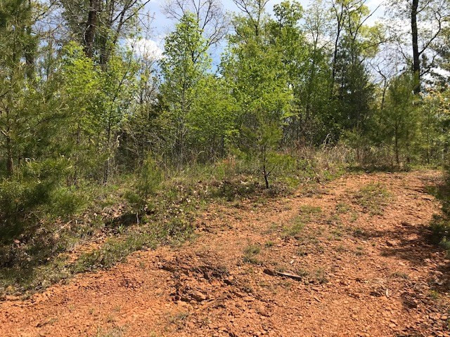 Lot 29 Brasstown View Road Murphy, NC 28906 - Photo 6 of 11