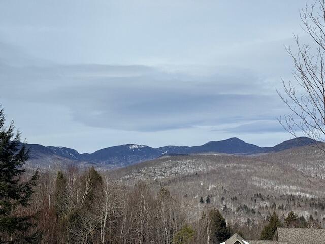 337 Monkey Brook Road Newry, ME 04261 - Photo 34 of 36 IMG_3319