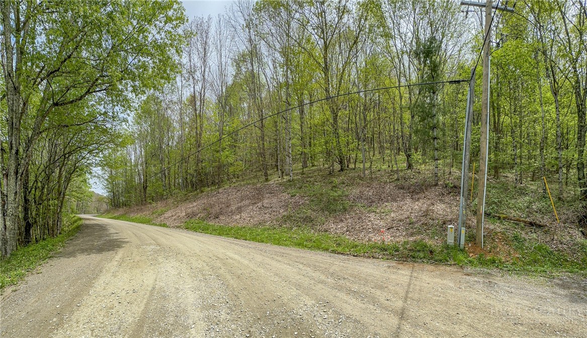 Silverleaf Road Zionville, NC 28698 - Photo 5 of 25