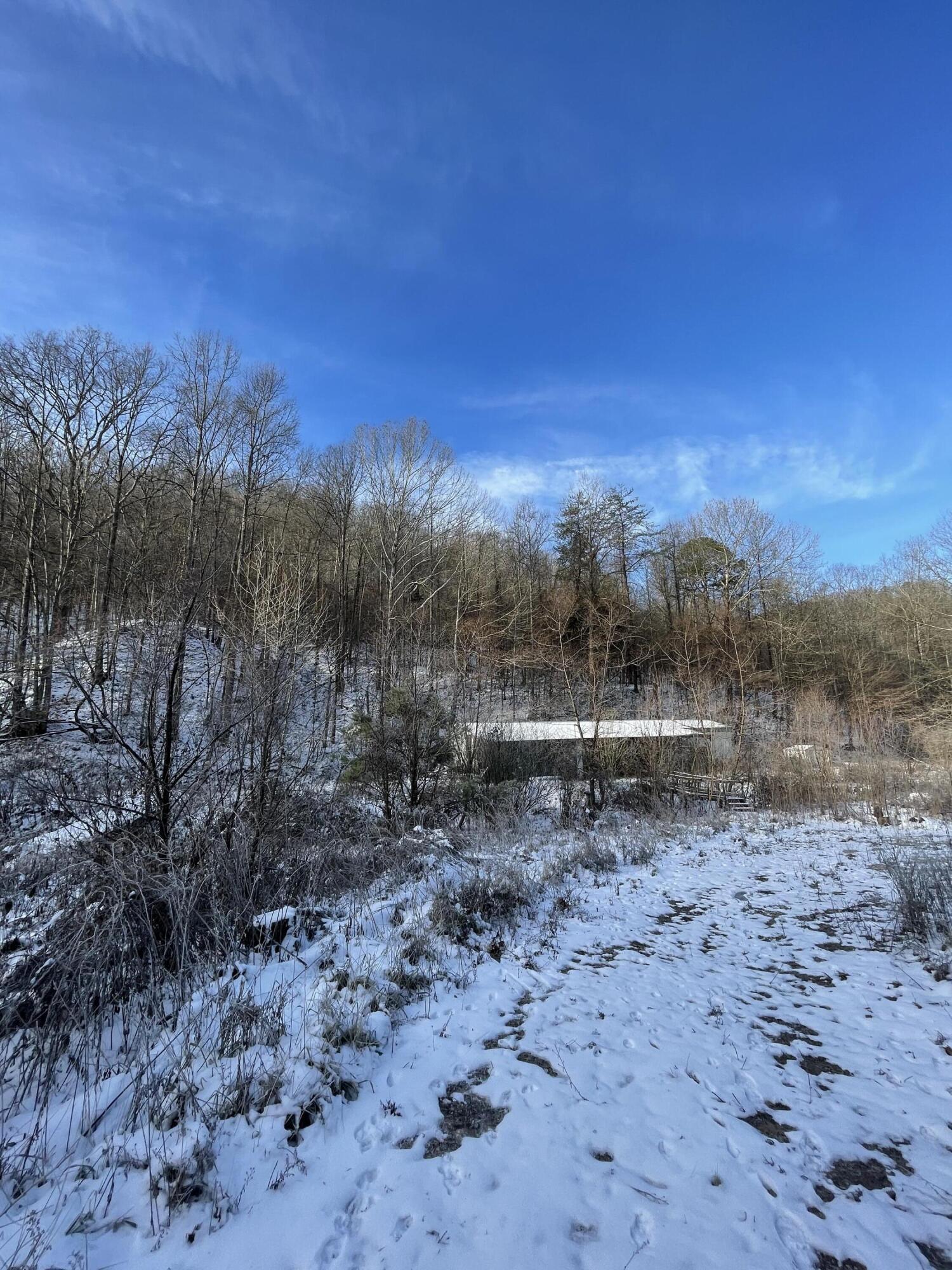 655 Halls Branch Road Stanton, KY 40380 - Photo 7 of 8 3