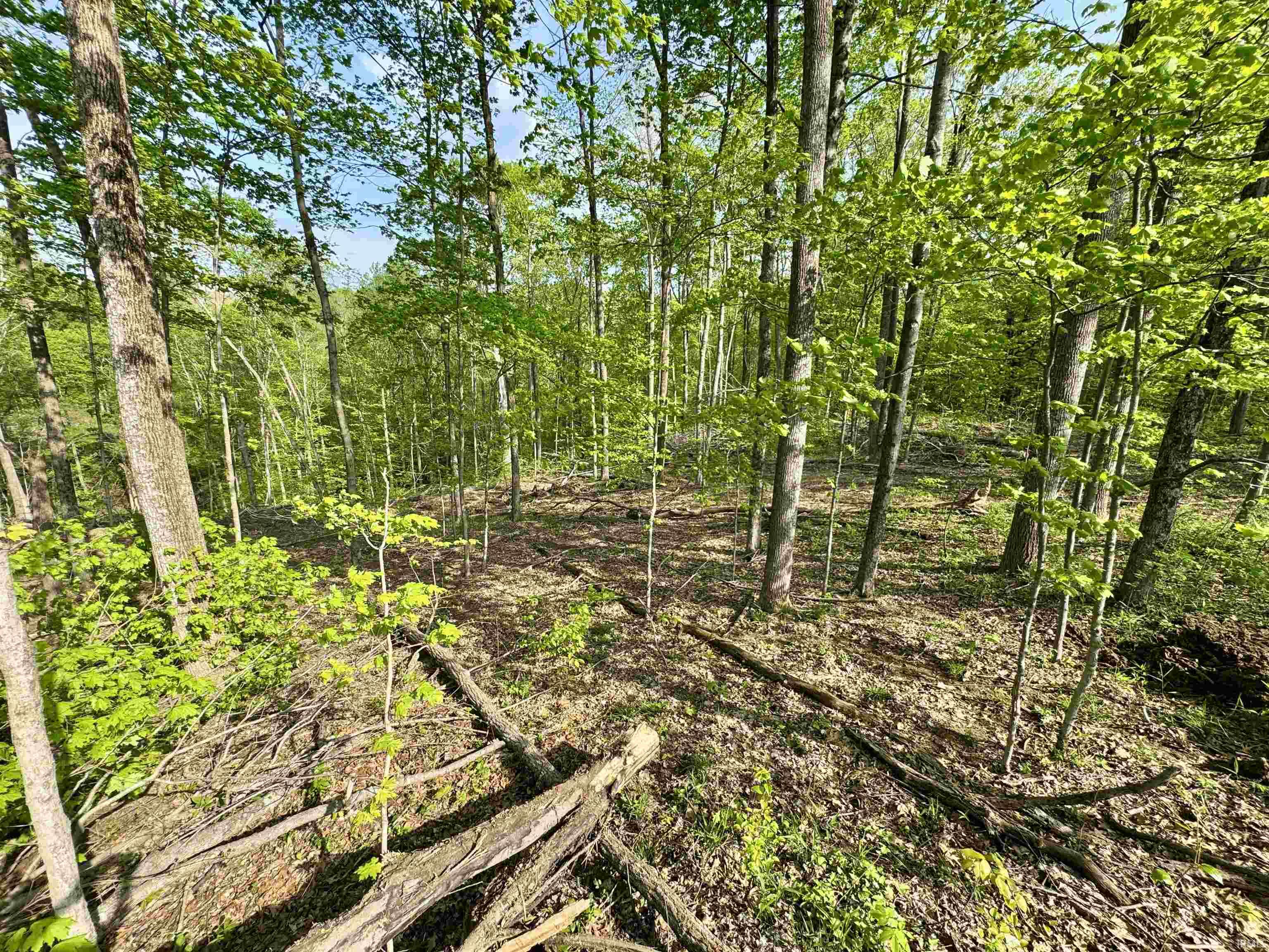 900 West French Lick In 47432 French Lick, IN 47432 - Photo 12 of 35