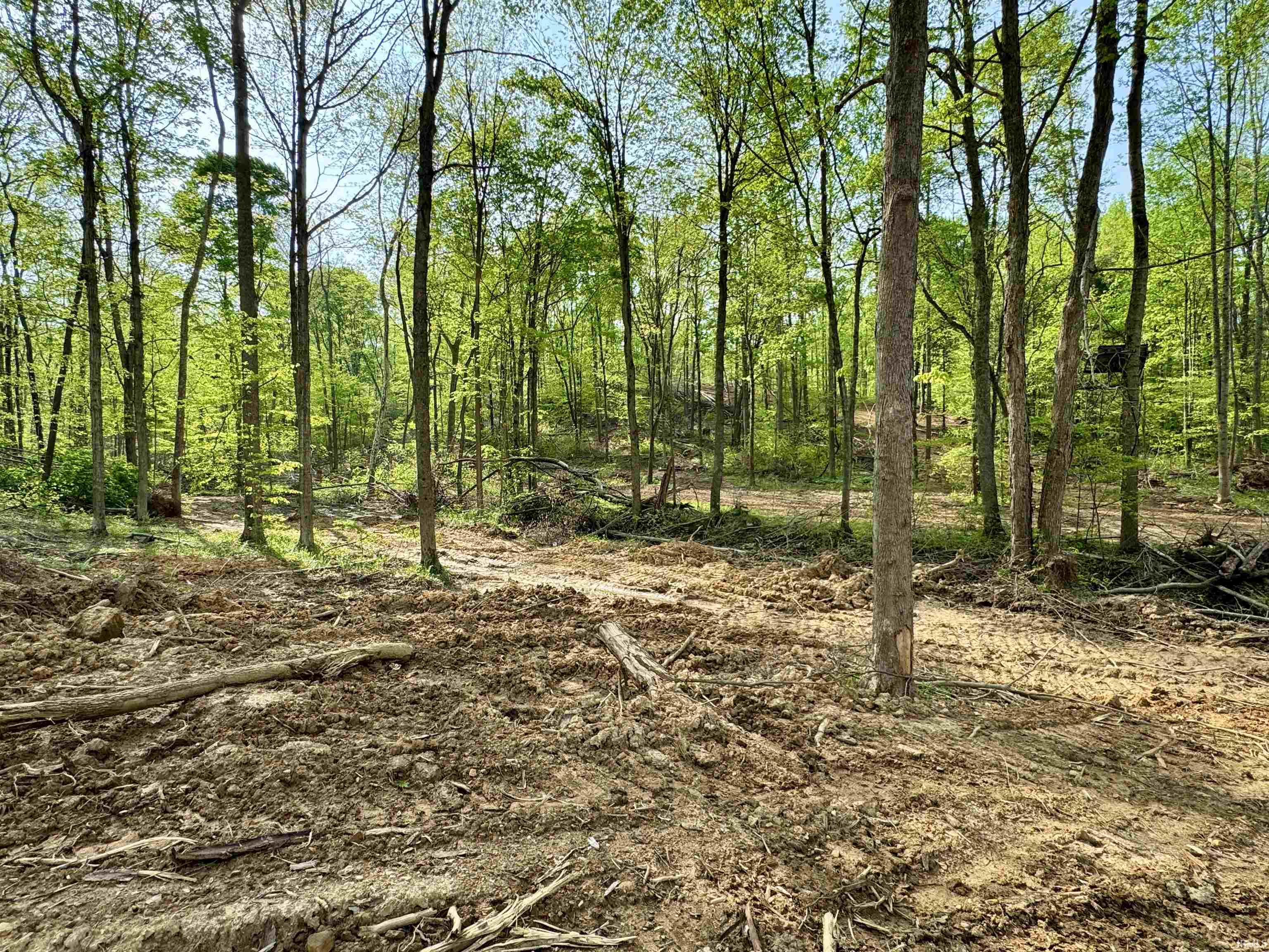 900 West French Lick In 47432 French Lick, IN 47432 - Photo 16 of 35