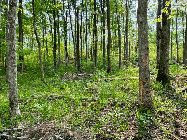 $398,500 | 900 West French Lick In 47432, French Lick, IN 47432