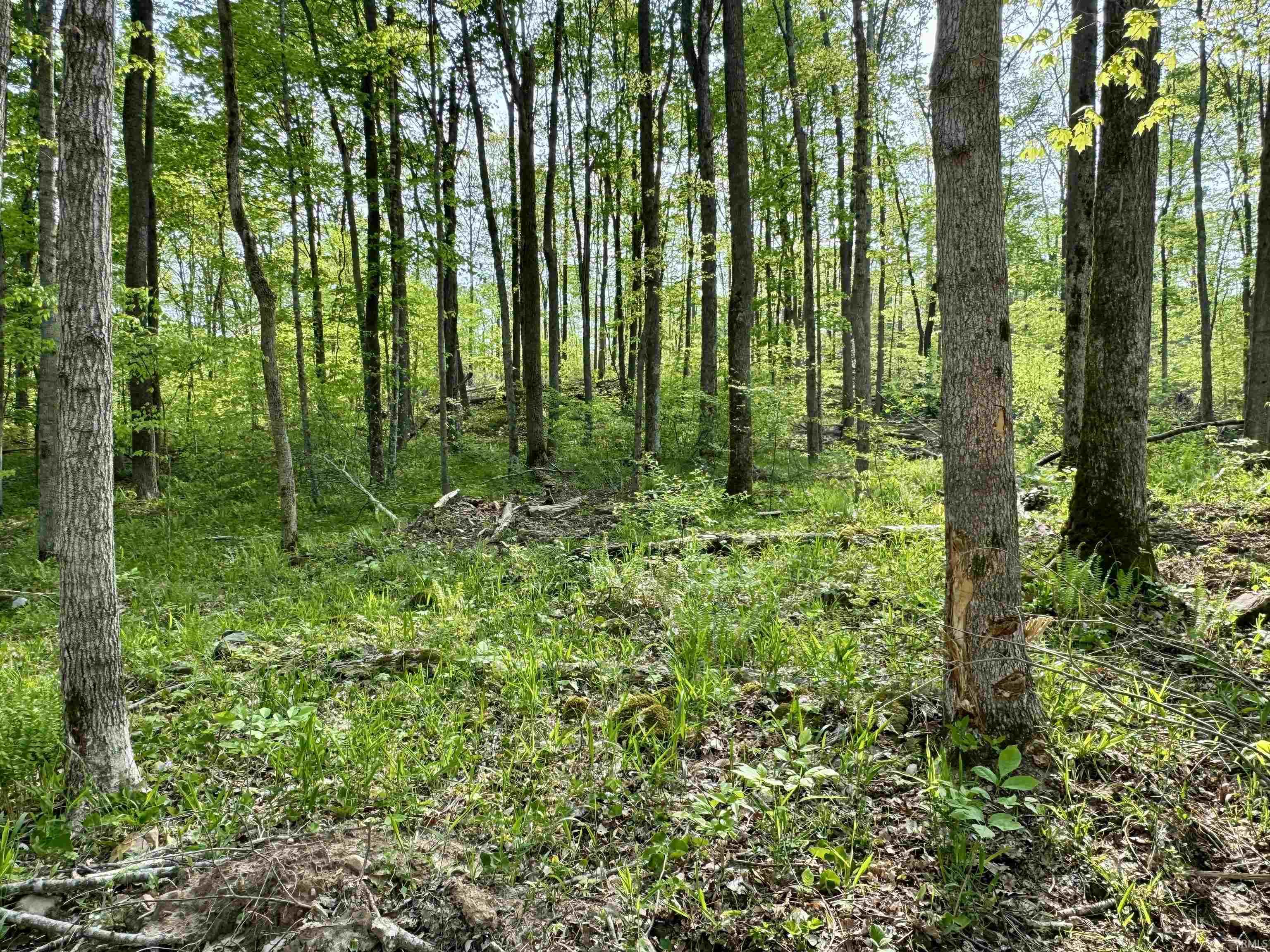900 West French Lick In 47432 French Lick, IN 47432 - Photo 20 of 35