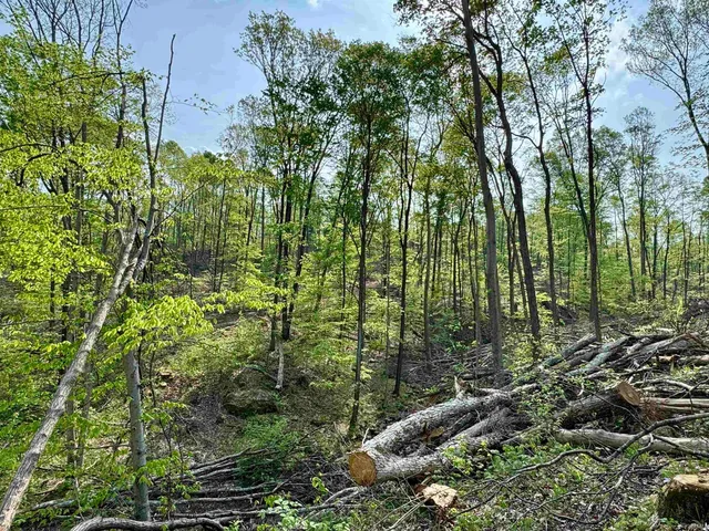 $398,500 | 900 West French Lick In 47432, French Lick, IN 47432