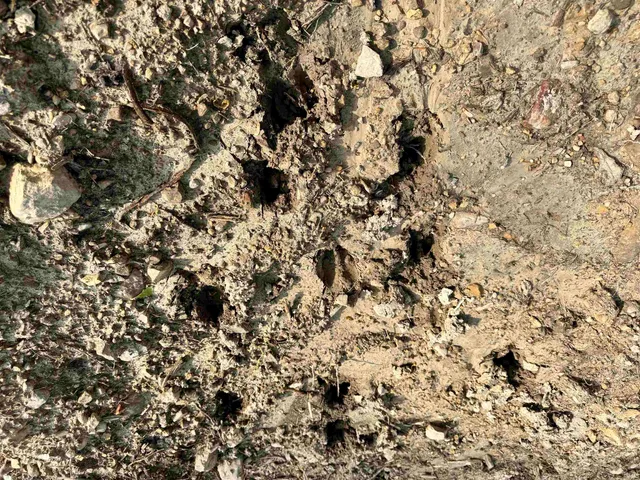 $398,500 | 900 West French Lick In 47432, French Lick, IN 47432