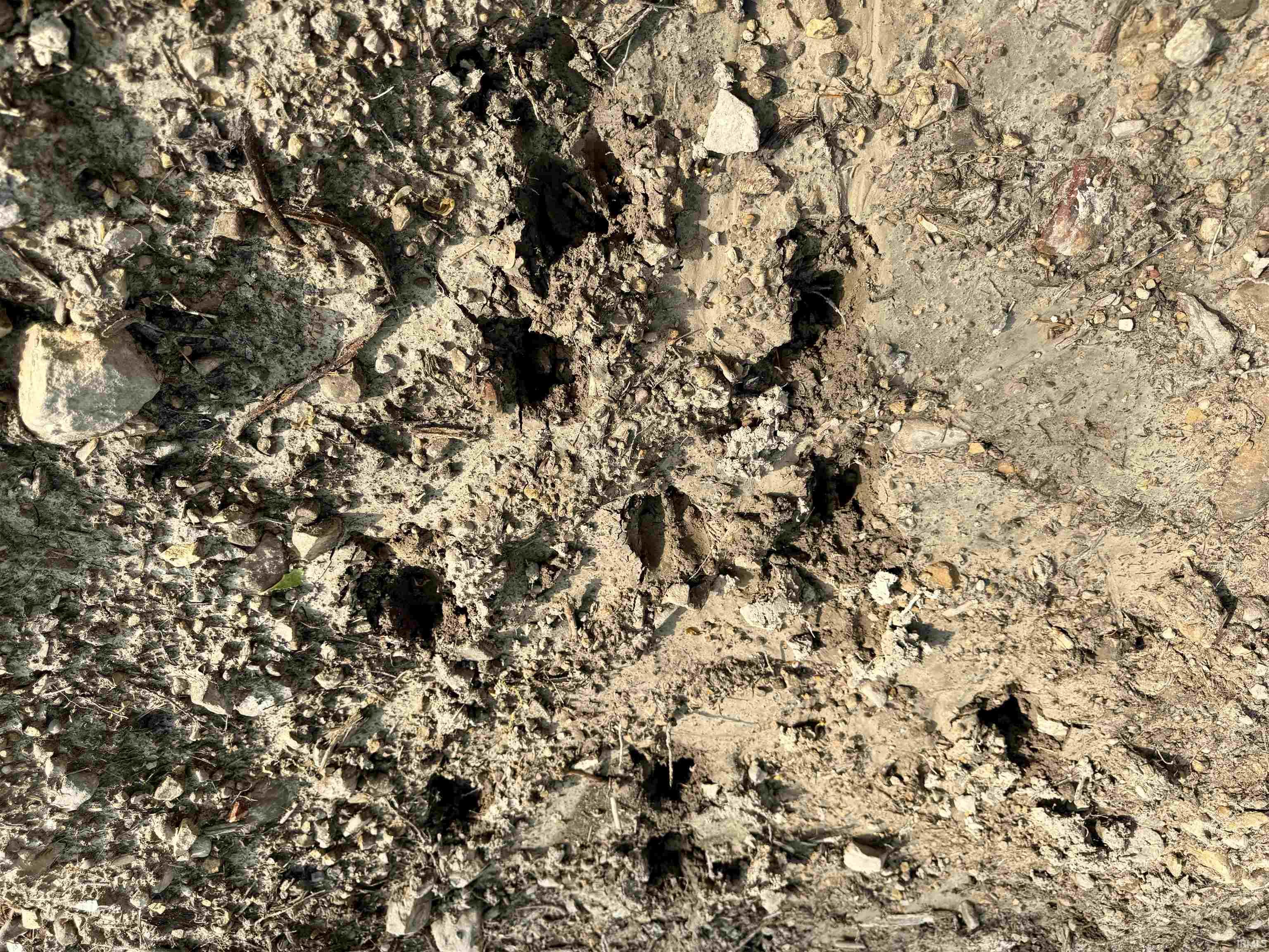 900 West French Lick In 47432 French Lick, IN 47432 - Photo 23 of 35