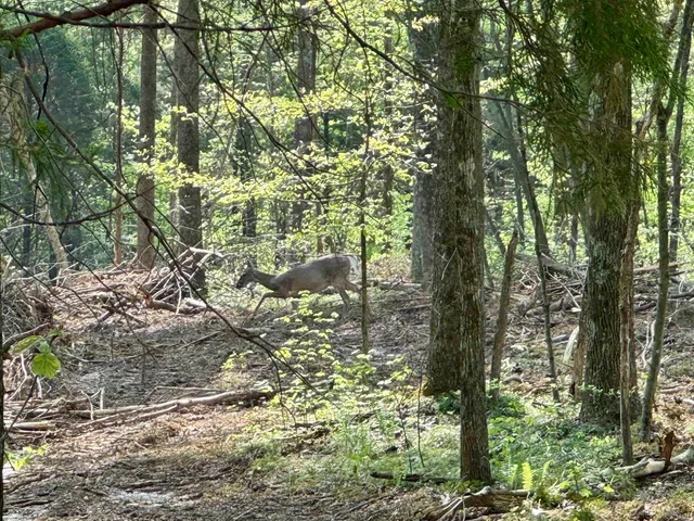 $398,500 | 900 West French Lick In 47432, French Lick, IN 47432