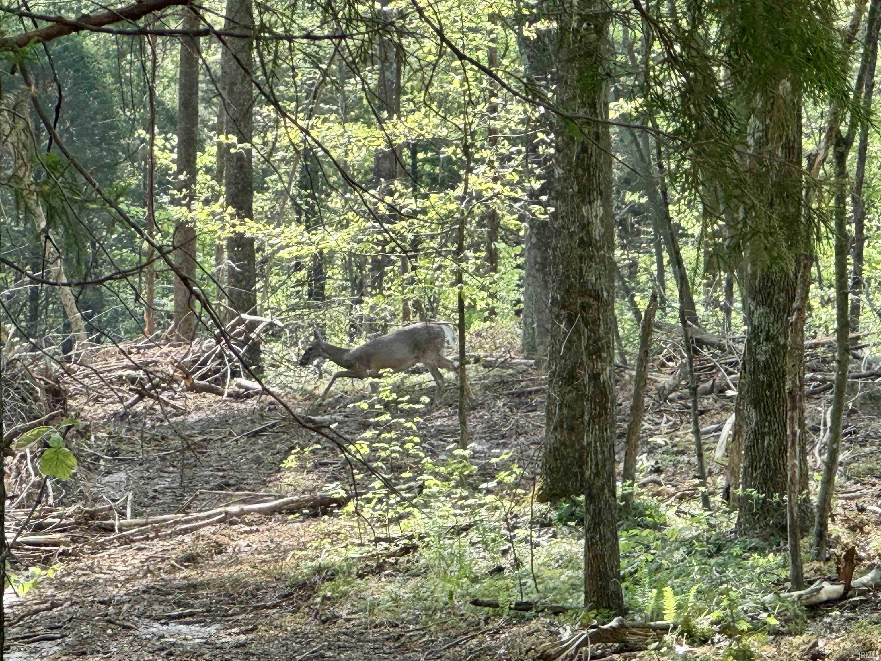 900 West French Lick In 47432 French Lick, IN 47432 - Photo 28 of 35
