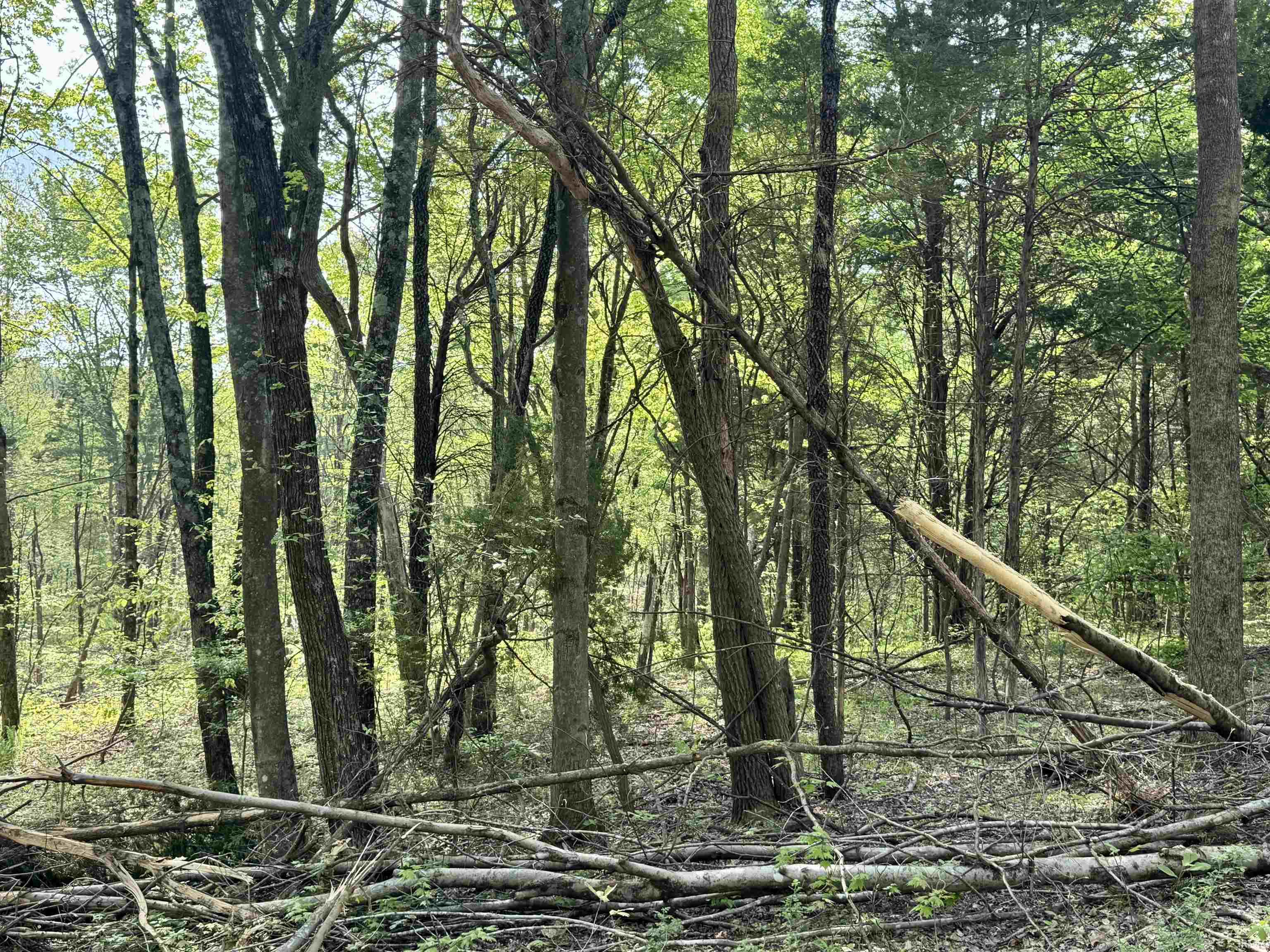900 West French Lick In 47432 French Lick, IN 47432 - Photo 30 of 35