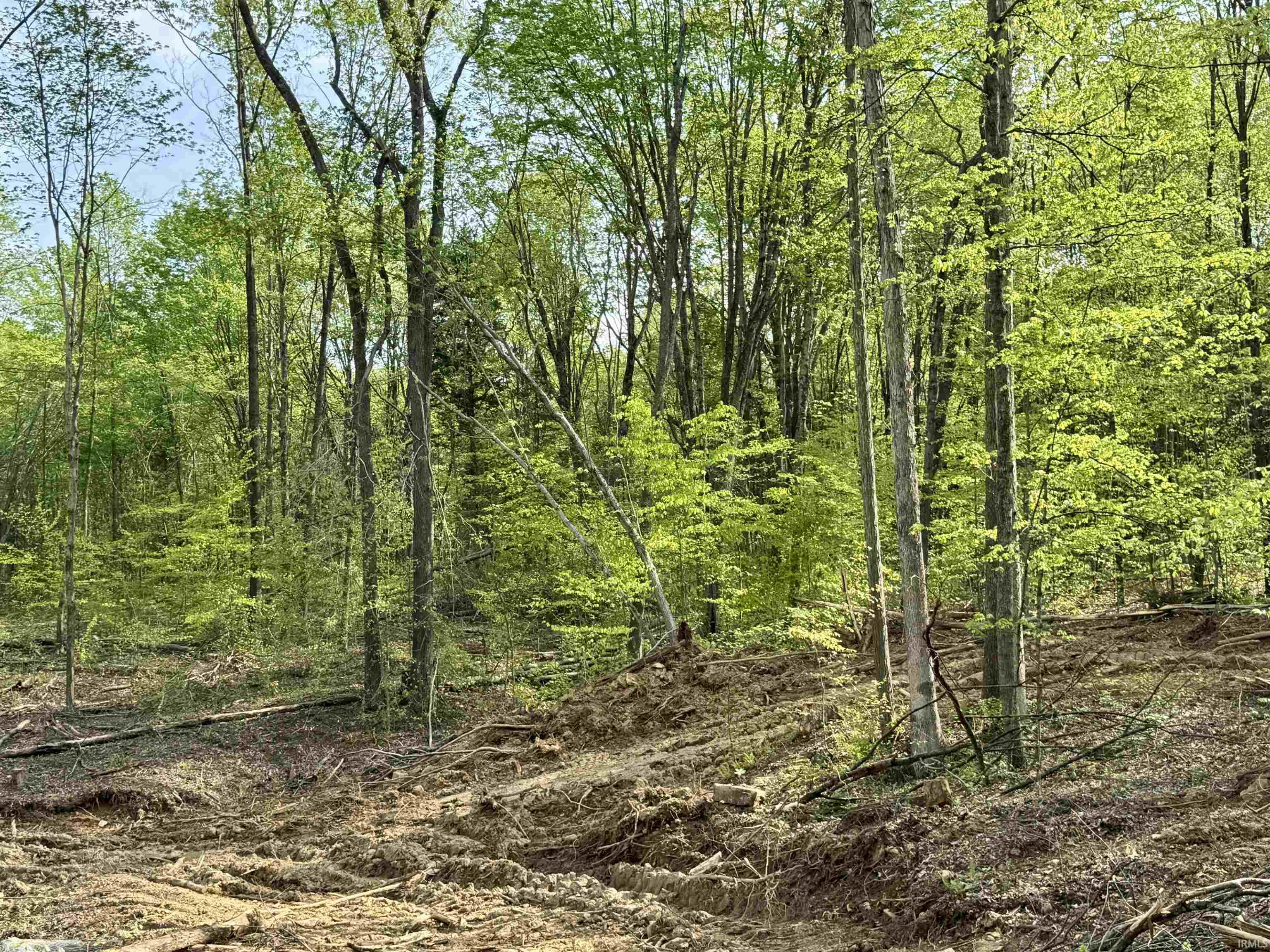 900 West French Lick In 47432 French Lick, IN 47432 - Photo 32 of 35