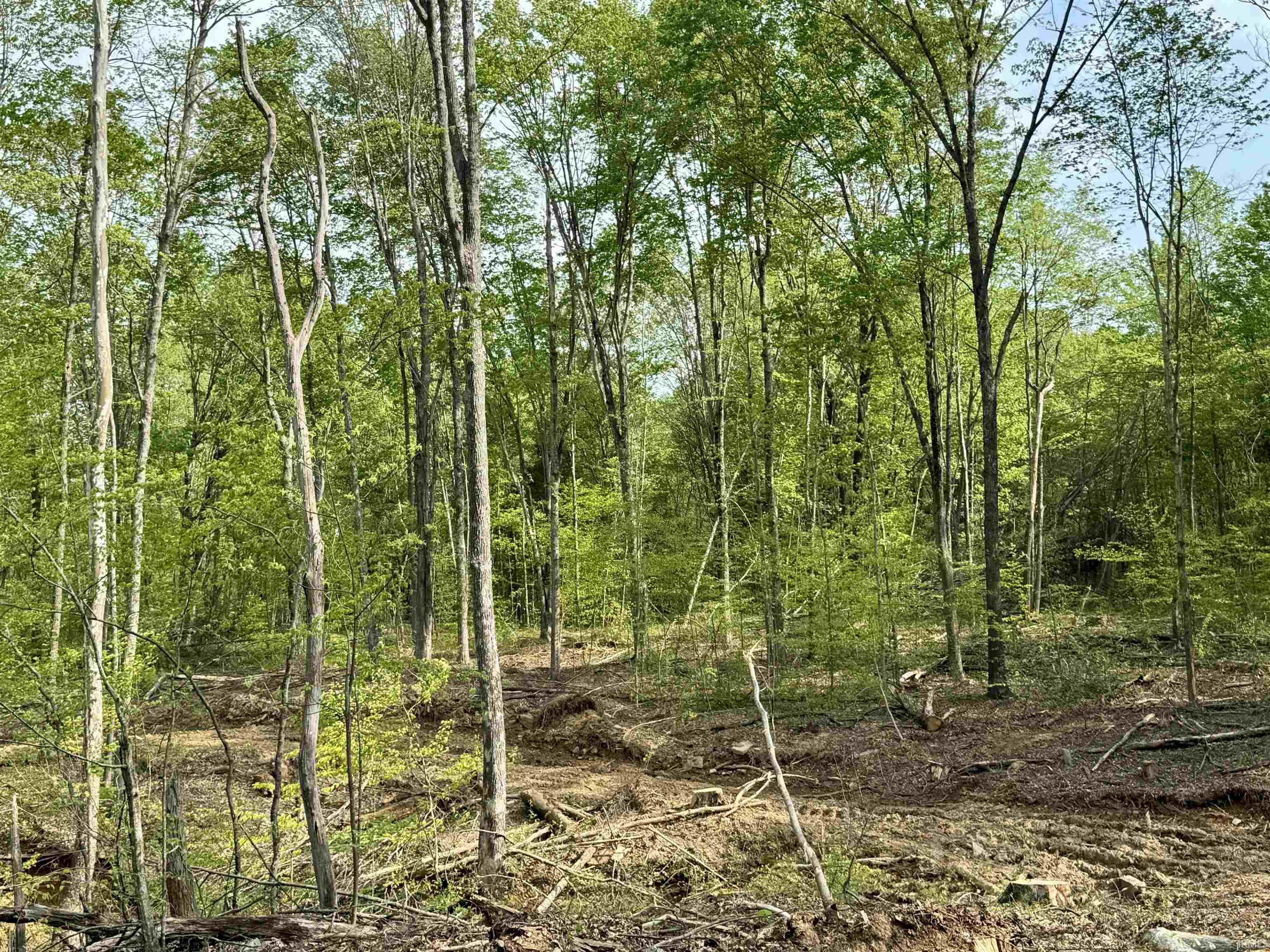 900 West French Lick In 47432 French Lick, IN 47432 - Photo 33 of 35