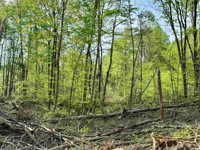 $398,500 | 900 West French Lick In 47432, French Lick, IN 47432