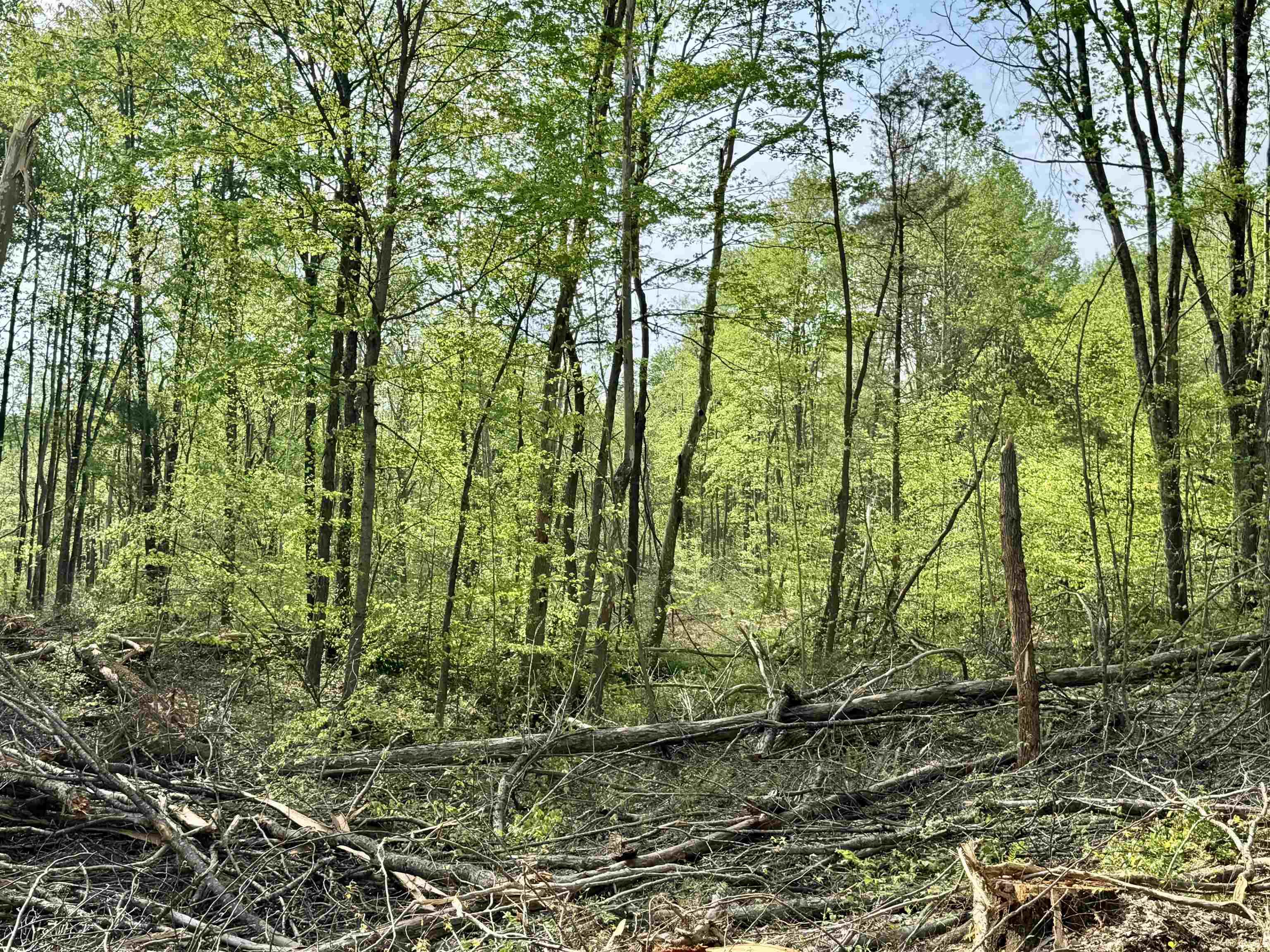 900 West French Lick In 47432 French Lick, IN 47432 - Photo 34 of 35