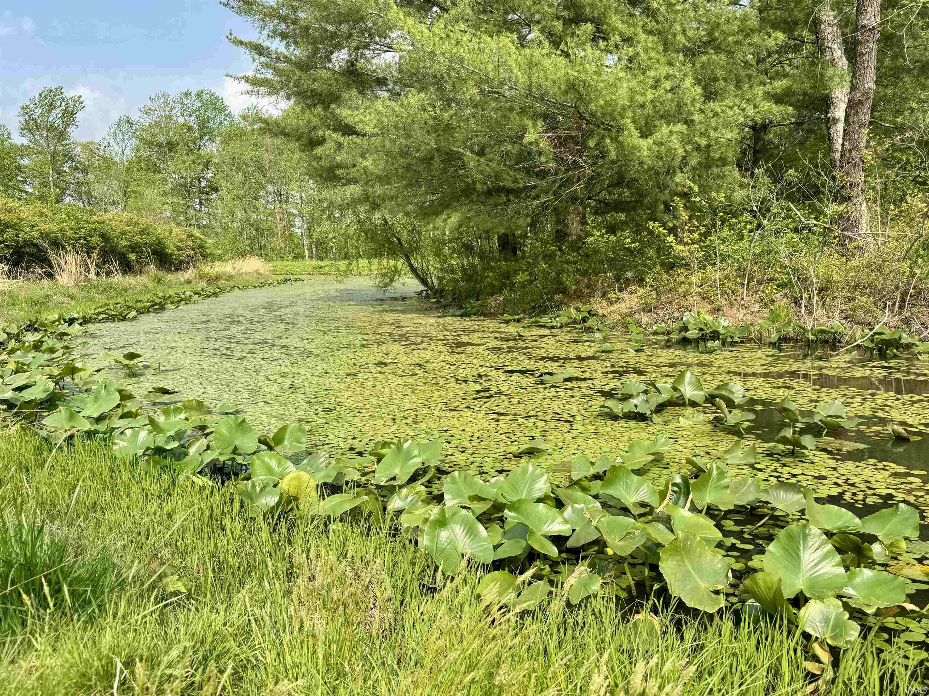 900 West French Lick In 47432 French Lick, IN 47432 - Photo 7 of 35