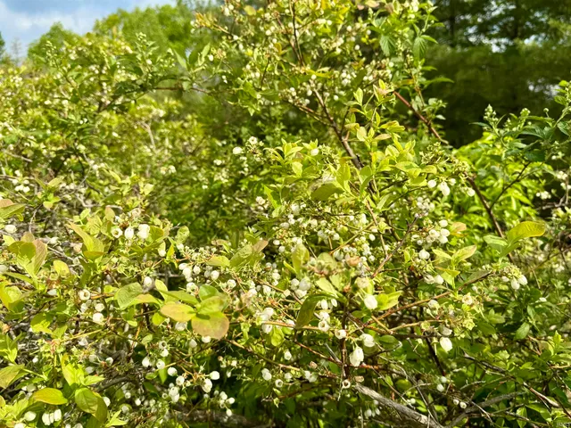 $398,500 | 900 West French Lick In 47432, French Lick, IN 47432