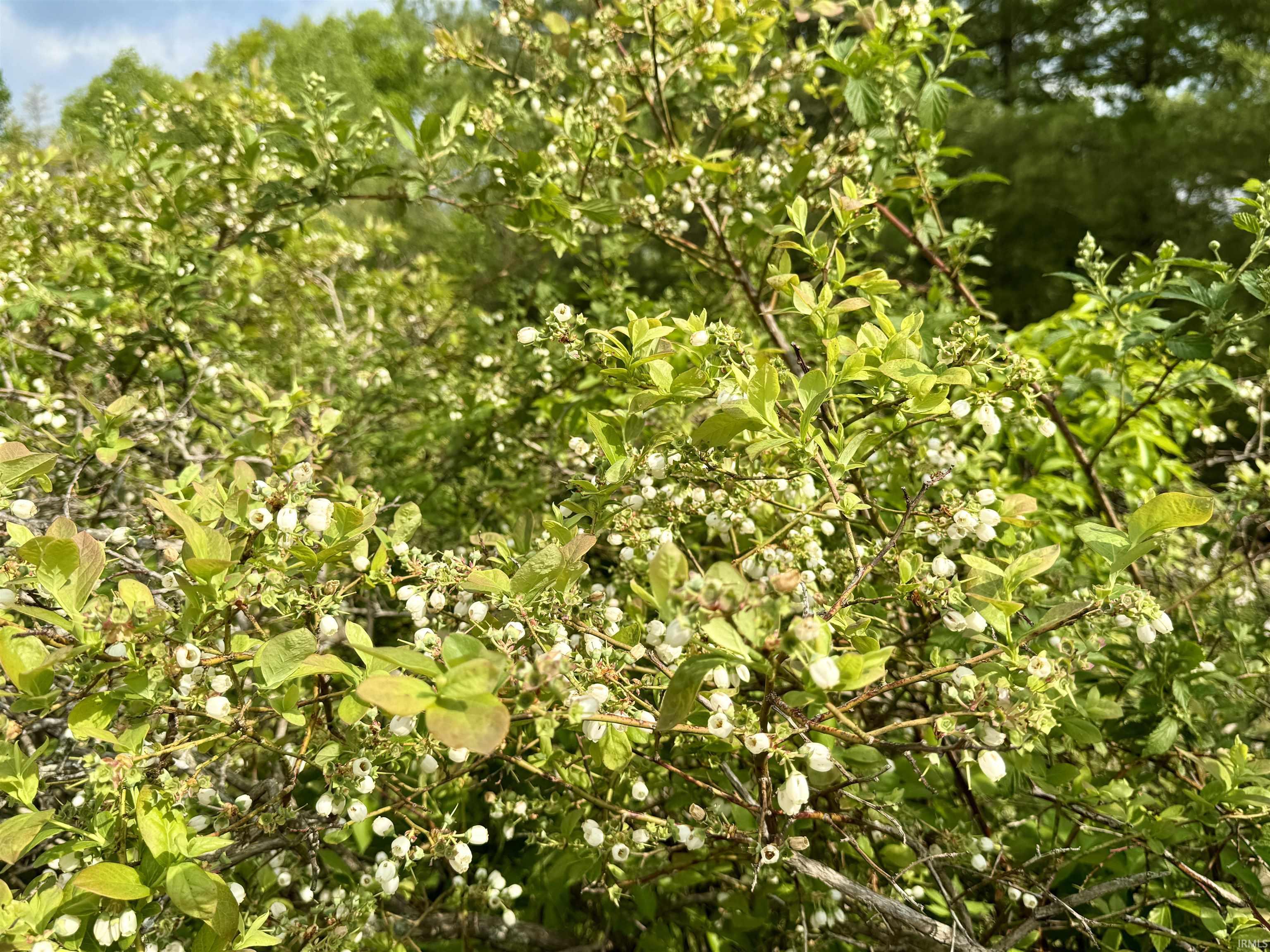 900 West French Lick In 47432 French Lick, IN 47432 - Photo 8 of 35
