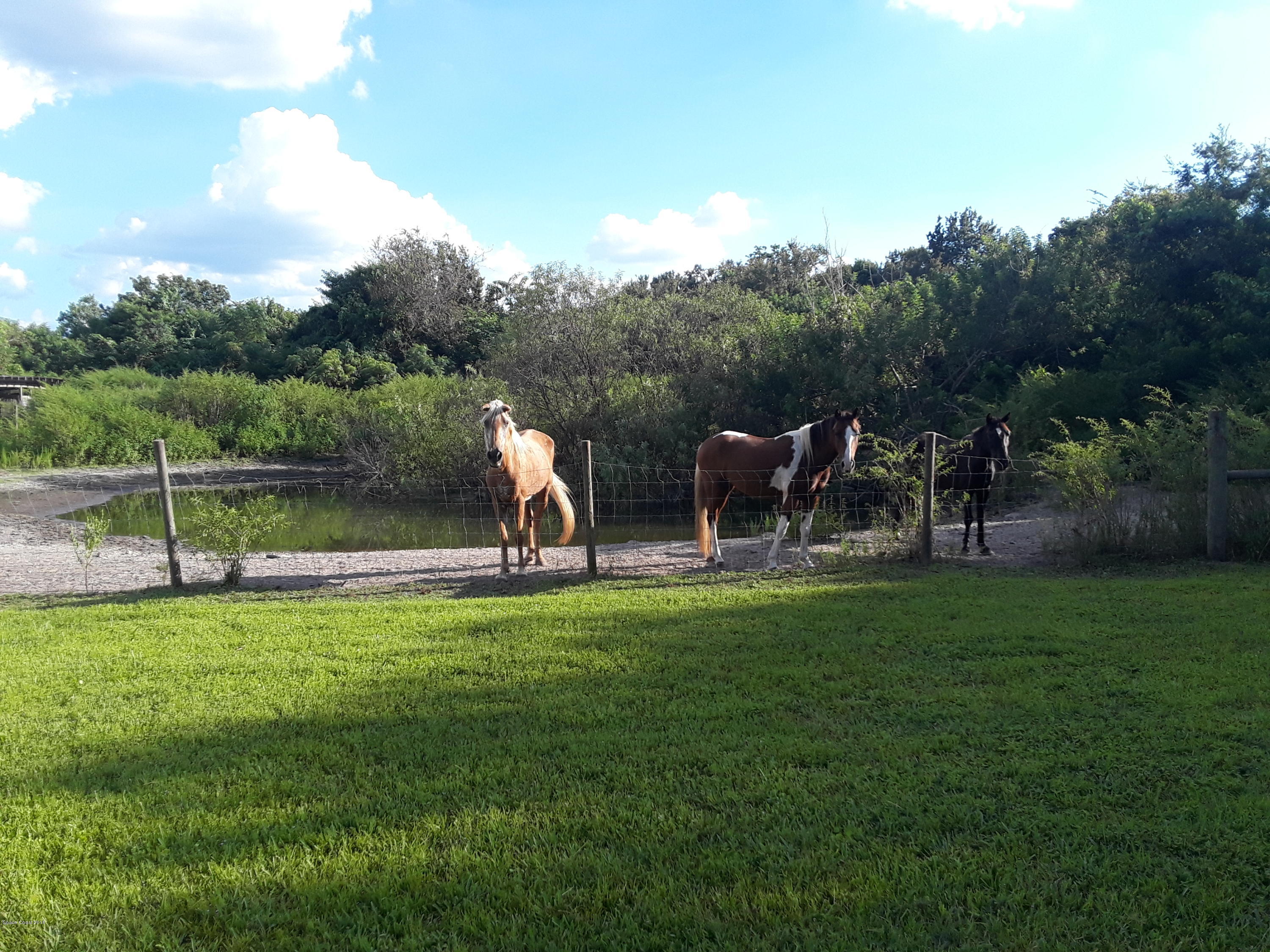 2825 Brockett Road Mims, FL 32754 - Photo 39 of 52 20180914_173743