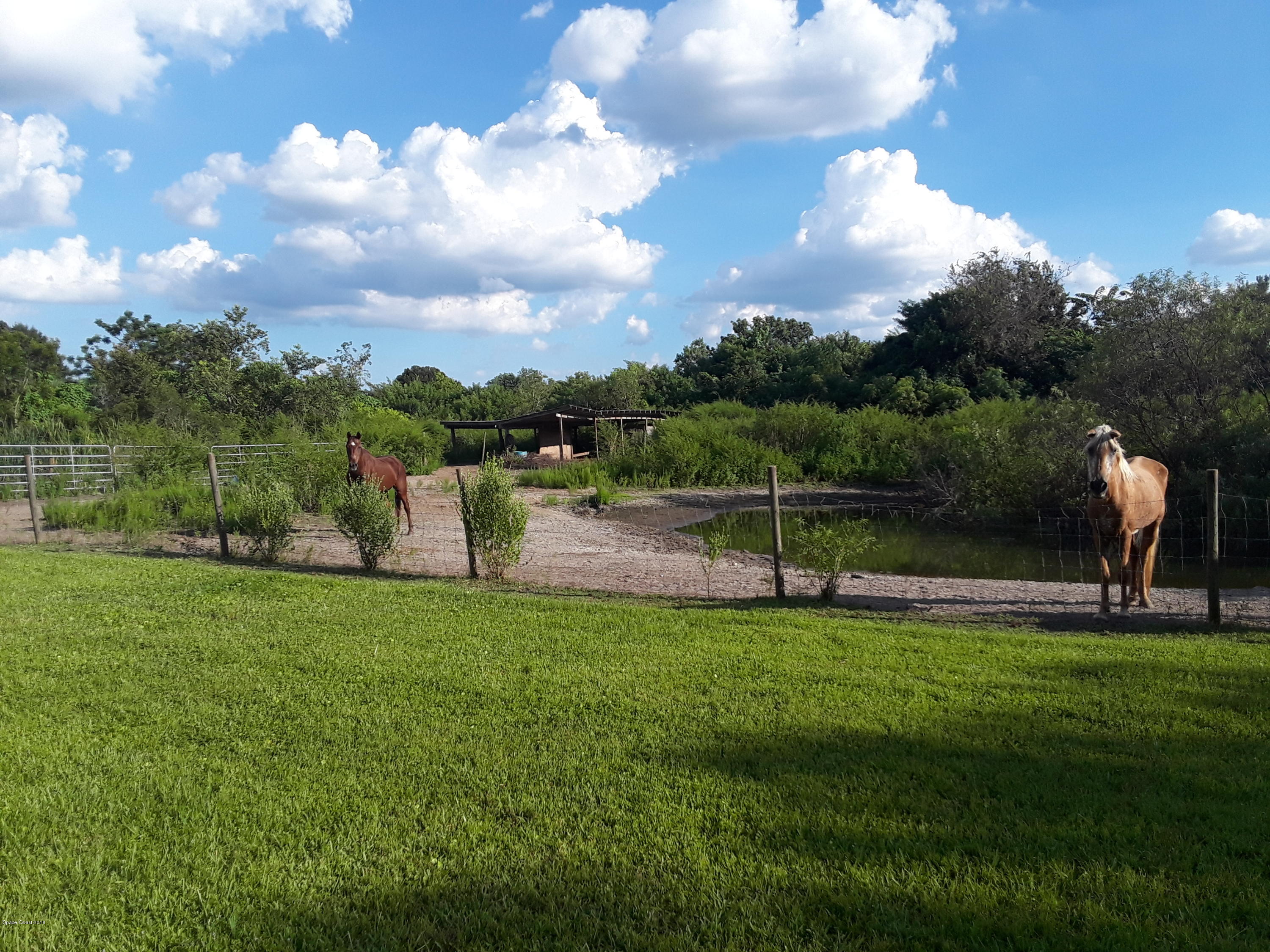 2825 Brockett Road Mims, FL 32754 - Photo 49 of 52 20180914_173747