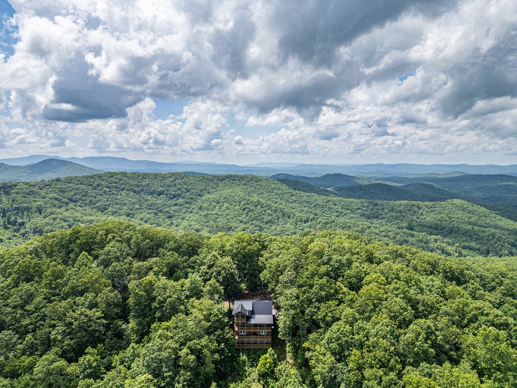 40 Reitzel Rdg Trail Murphy, NC 28906 - Photo 51 of 54 a view of a garden with an empty space