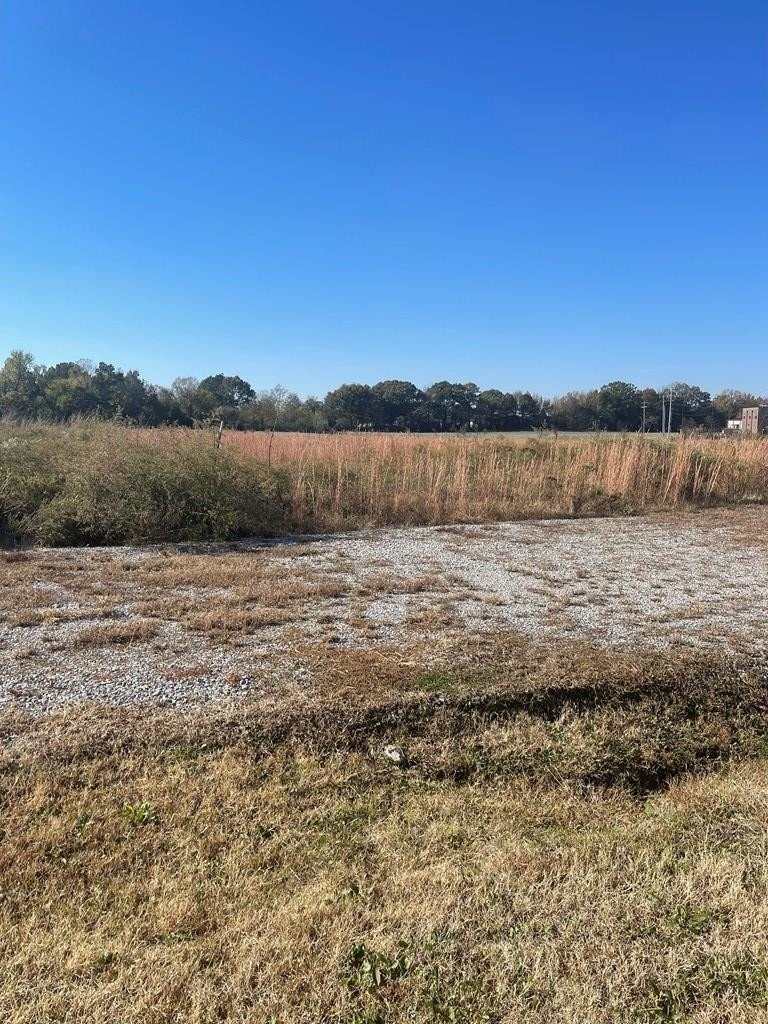 0 Stonehaven Drive Bells, TN 38006 - Photo 6 of 7 Photo 6