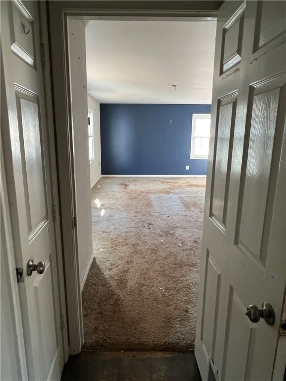 703 Mertie Drive Seneca, SC 29678 - Photo 14 of 38