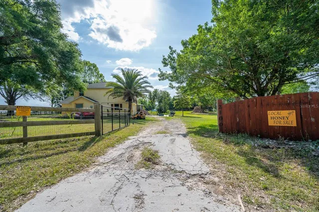 a view of a park with large trees